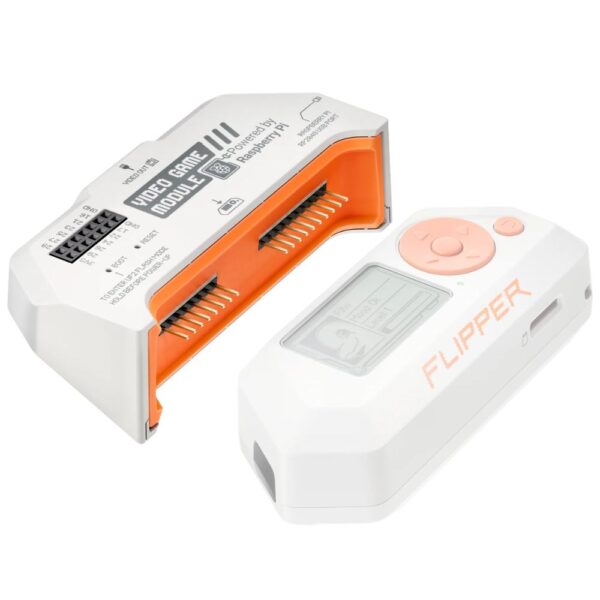 FLIPPER_06 (2) FLIPPER_06 (2)