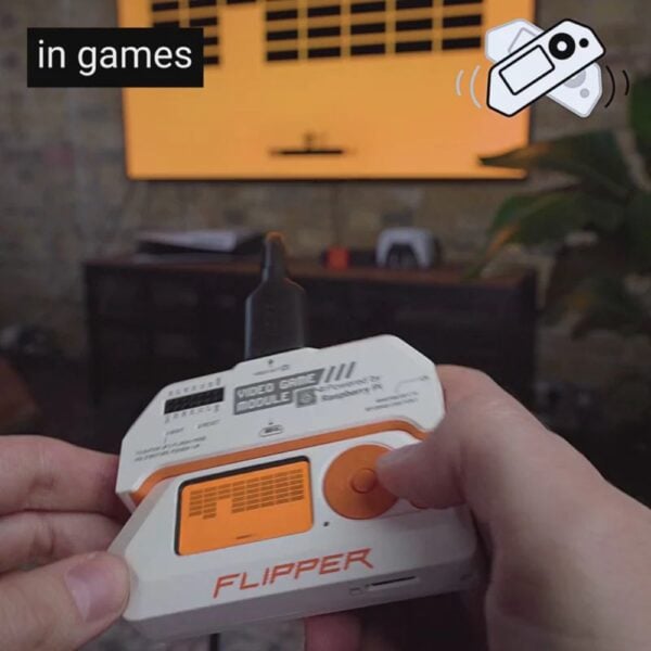 FLIPPER_06 (7) FLIPPER_06 (7)