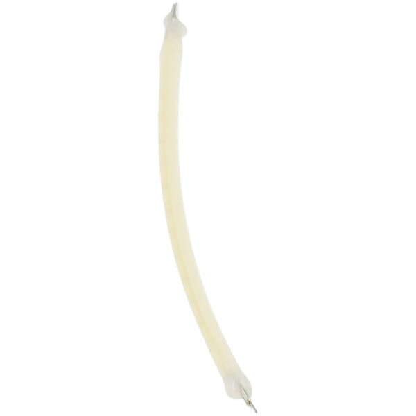 sklep_msalamon_LED-00019_4 sklep_msalamon_LED-00019_4