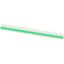 Wtyk goldpin 1×40 prosty raster 2.54mm zielony